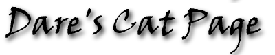 PNG Cats Page Logo