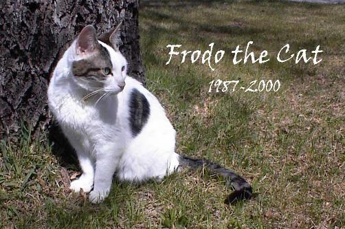 JPG pic of Frodo on his
                  last day