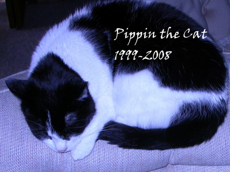 JPG pippin
                sleeping